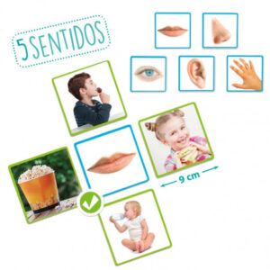 LOS 5 SENTIDOS-125623401